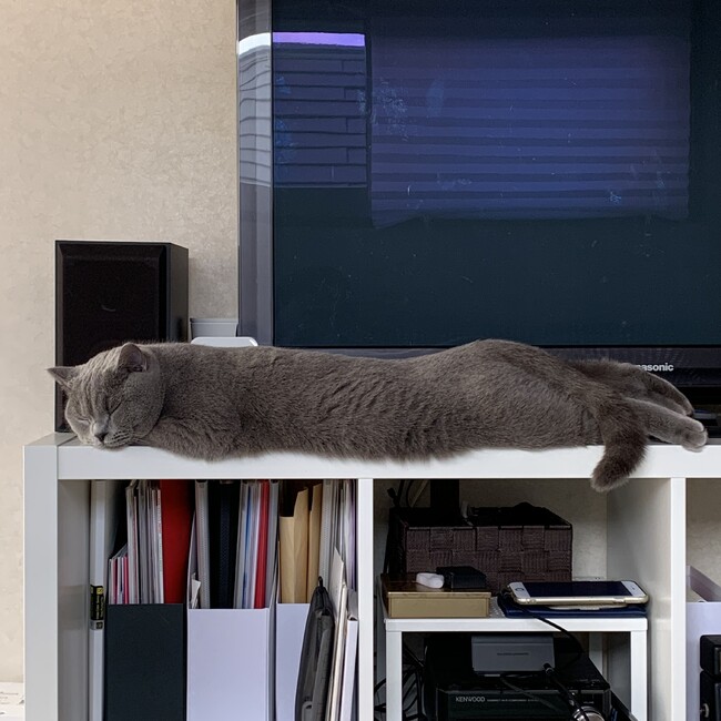 WLRのカバー写真