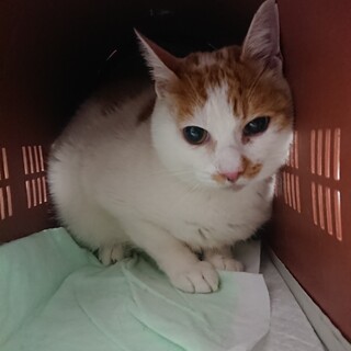    4/18浦和 おとなしい❤️四歳