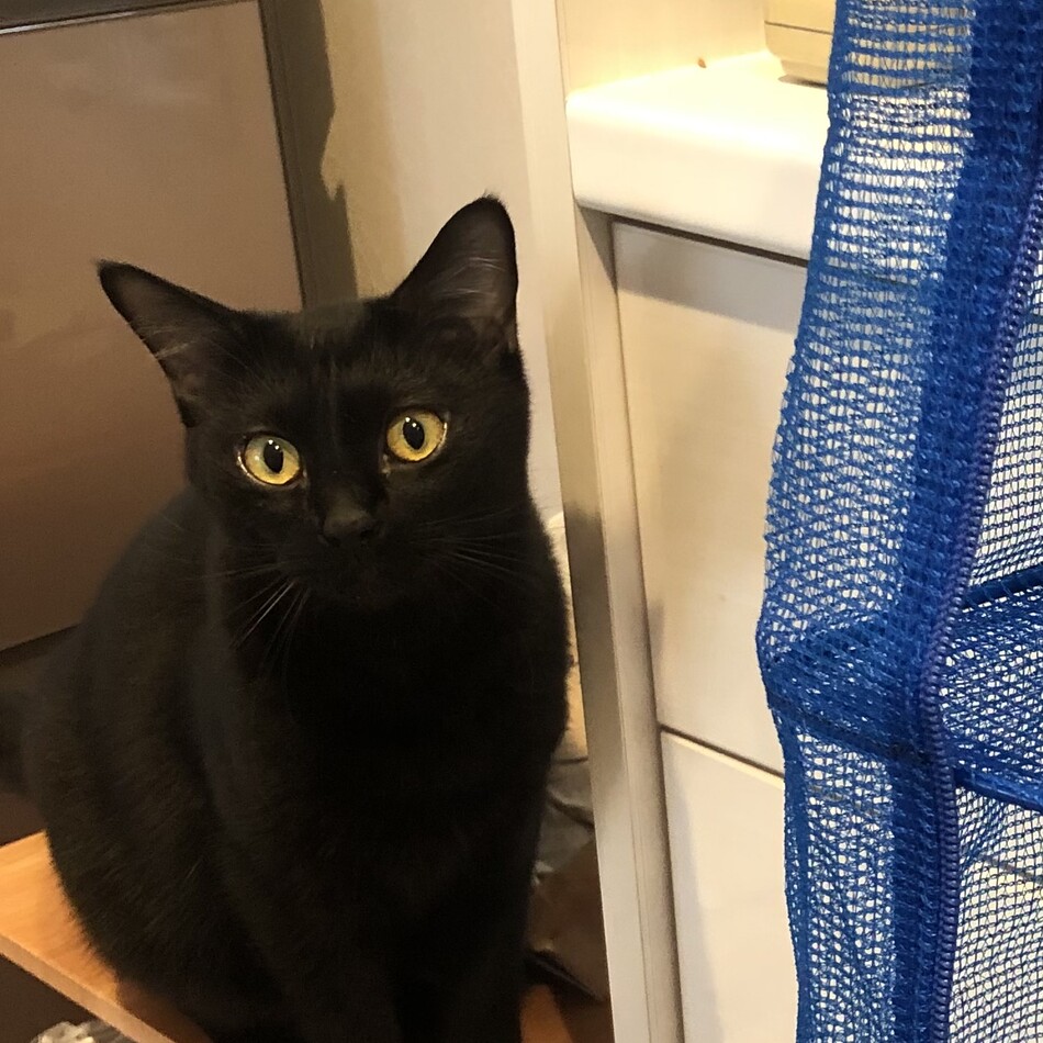 エマのカバー写真