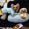 meko923さん