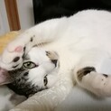 まん丸おめめが可愛い、まる君★