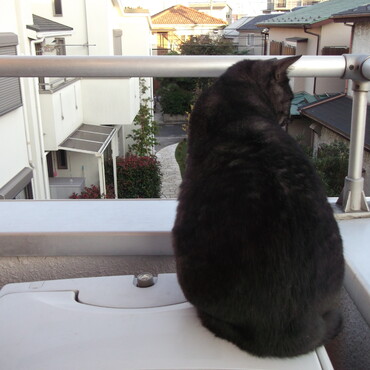 の写真