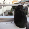 の写真