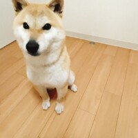ハンナ