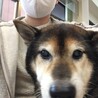 病院にきちゃったYO