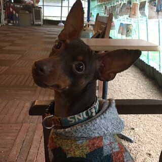 ちょっとだけビビりさん　サナちゃん