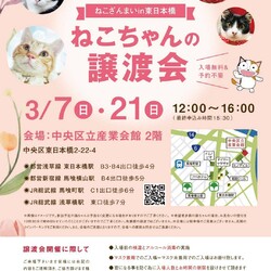 ねこざんまい譲渡会＠東日本橋