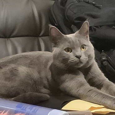 の写真