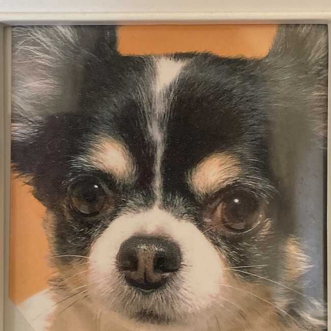 みえ⭐︎のカバー写真