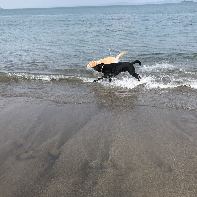 mintwanのカバー写真