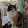 里親さん募集中です!