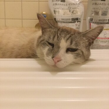 入浴を監視！してるうちに寝てしまう。。