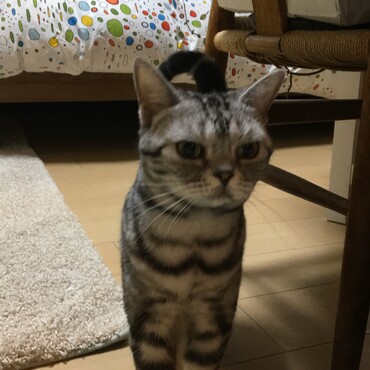 春はソワソワしています