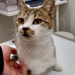 人慣れ抜群あまあまサヨちゃん