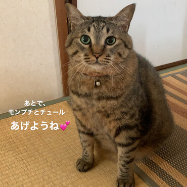 細く見える