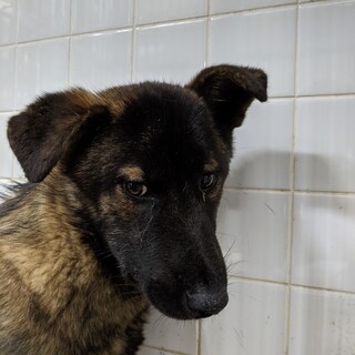 期限まで   あと2日