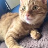 ふわふわ被毛の優しい男の子 サムネイル6