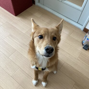 の写真