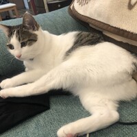 みな
