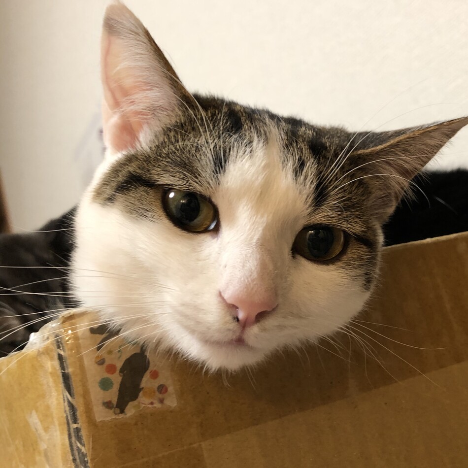 みなのカバー写真