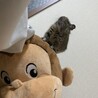 こだきな