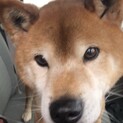 里親さん決まりました！！