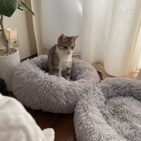 ひなた