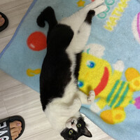 みよこ