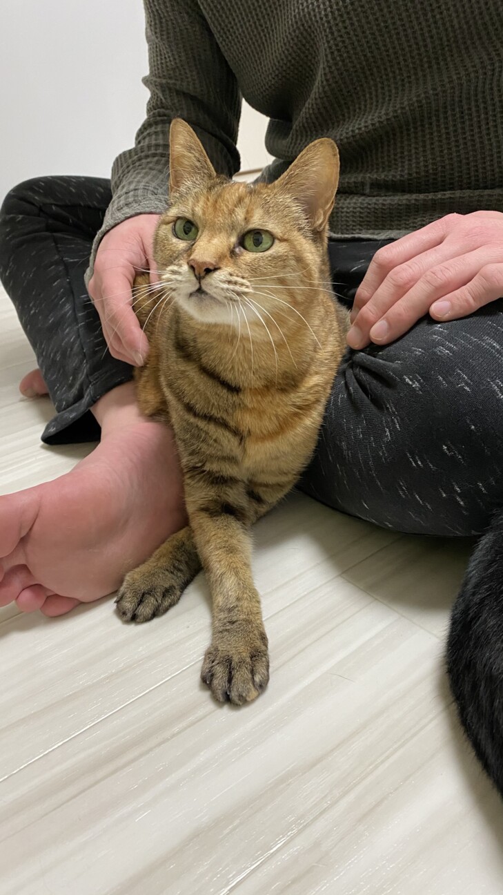 スズ