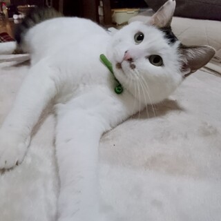 超絶甘えん坊の一歳半