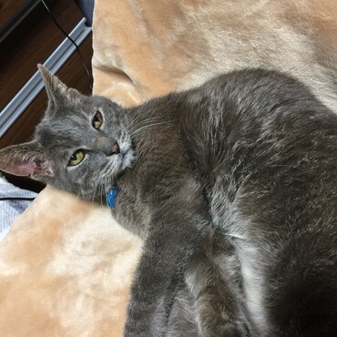 ばーさん、晩飯はまだかいなぁ〜最近、健康第一だからパウチでいいぞ！