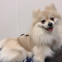 ベル