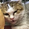 どこに居たの？全身ススだらけの子 サムネイル4