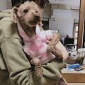 トイプ♀ 可愛いマコちゃん