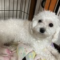 たくさんのお問い合わせありがとうございました
