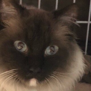 イケメンなバディ、温かく見守って！！