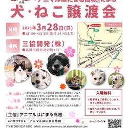 アニマルはにまる高槻による犬・猫譲渡会