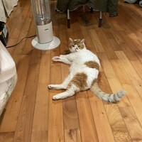 おん