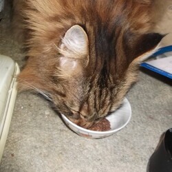 「【閲覧注意】抜けた！」サムネイル1