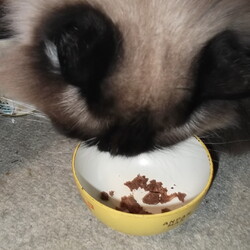 「【閲覧注意】抜けた！」サムネイル2