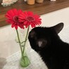 ははおばちゃん