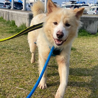 ご家族決定致しました！ありがとうございました！