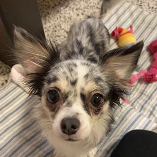 幸せになりました♡ありがとうございました