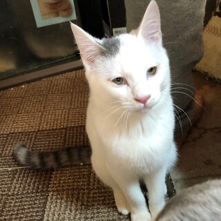 天真爛漫で好奇心旺盛な男の子