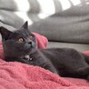 今日は日差しが最高だね。気分は上々♪
