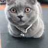 〝狩の目〟になってる！何か見つけたの？？