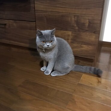 また〝狩の目〟だよ。また何か見つけたんだね♪