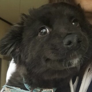☆❣️家族がきまりました❣️☆