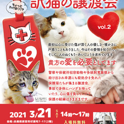 第２回「訳猫の譲渡会」