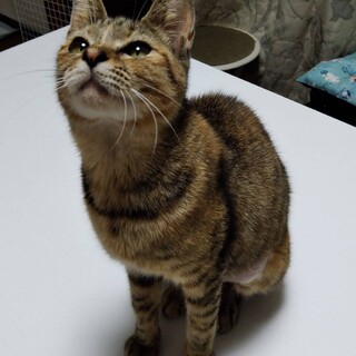 お問合せがあり一旦停止中です。